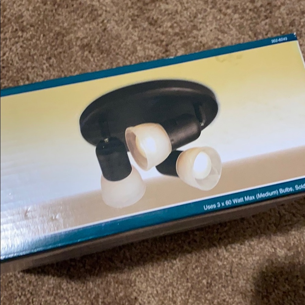 NEW!! Flush Ceiling Mount 3-Light Fixture